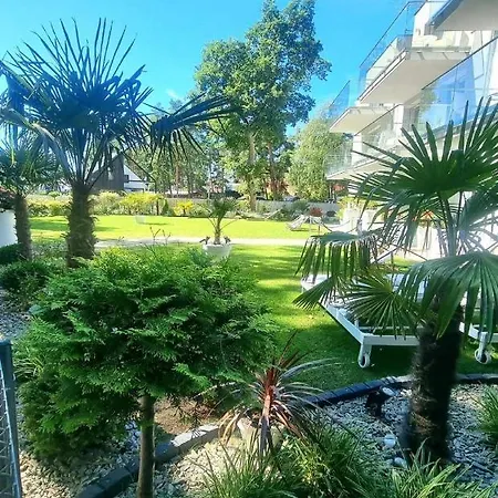 Majestique ポビエロボ