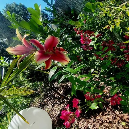 Majestique Parque de vacaciones