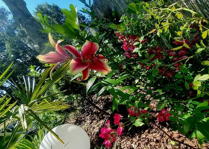 Majestique Parque de vacaciones